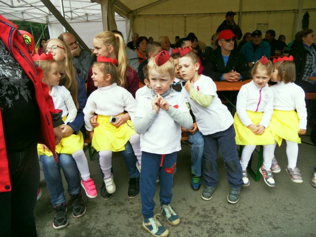 sam_3773