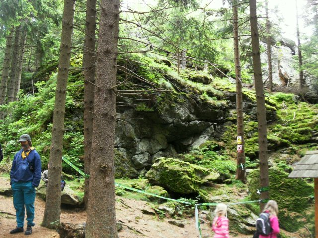 sam_3870