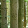 sam_3845