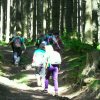 sam_3846