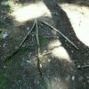 sam_3847