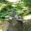 sam_3850