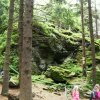 sam_3870