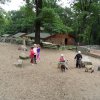 sam_3891