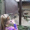 sam_3893
