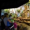sam_3895