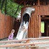 sam_3929