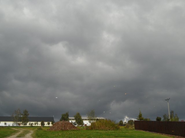 Drakiáda