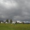 Drakiáda