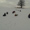 20170210_102840