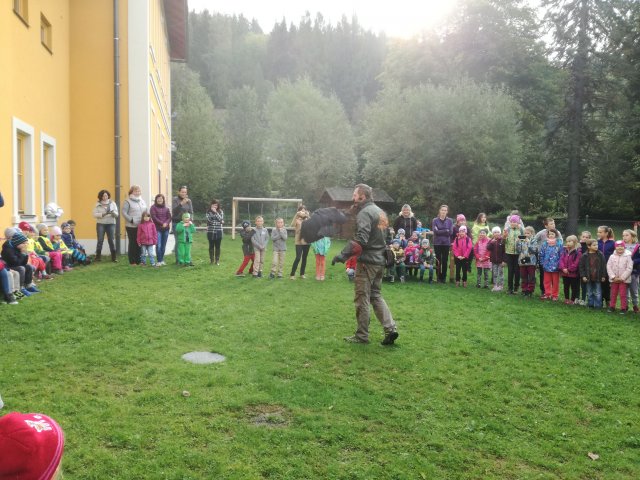 03_Dravci