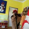 08_Mikuláš